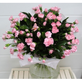 A lovely simple bouquet of pink spray carnations